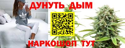 спиды Новокубанск