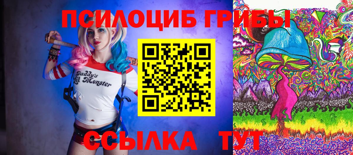 Псилоцибиновые грибы Cubensis Строитель